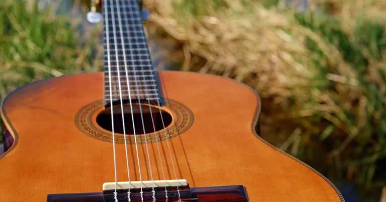 Classical guitar with a glossy wood top resting on grass