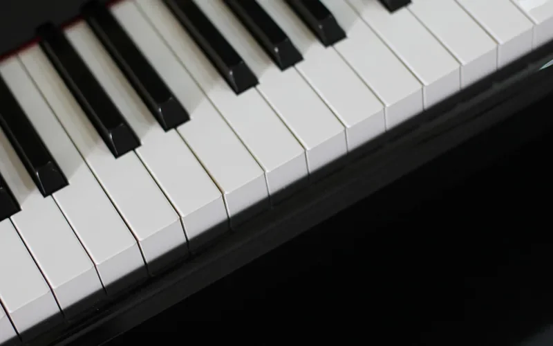 close-up of black piano keys, a traditional application of ebony wood in musical instruments close-up of black piano keys, a traditional application of ebony wood in musical instruments