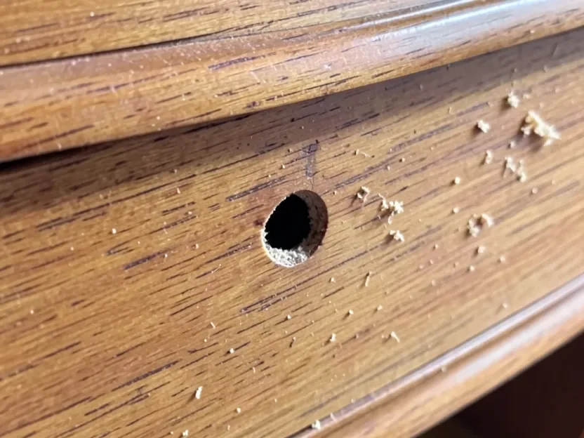 Empty countersunk screw hole on a wood dresser after the wood cap plug was removed