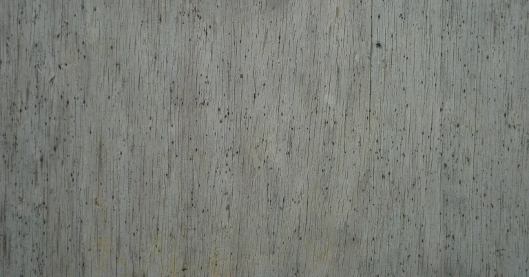 Gray wood board with small black mold spots across the grain