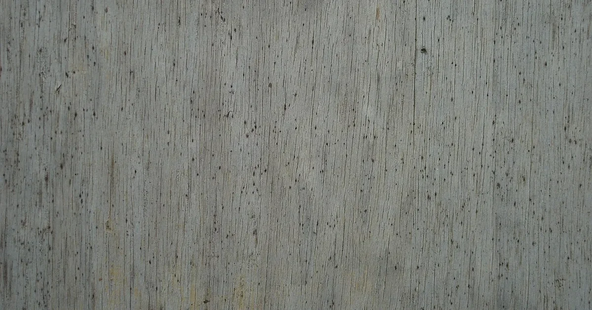 Gray wood board with small black mold spots across the grain