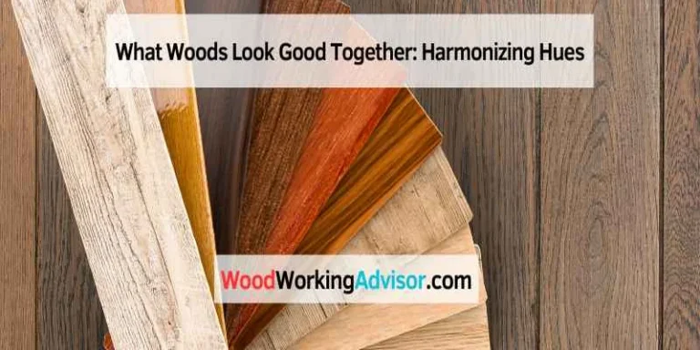 Fan of wood veneer samples in different tones