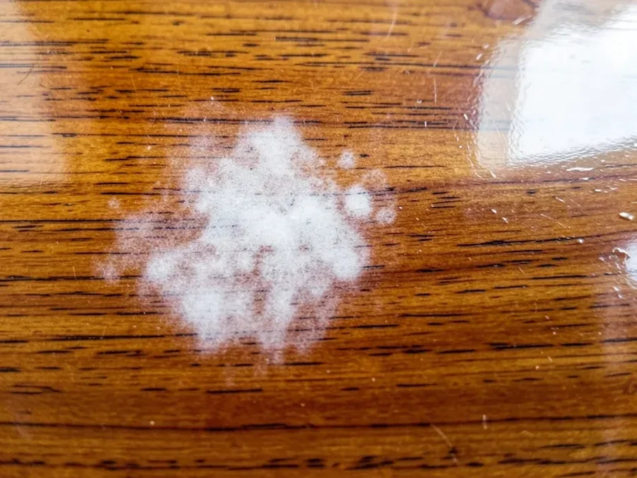 Close-up of lacquer blushing, a cloudy white haze defect on a wood finish