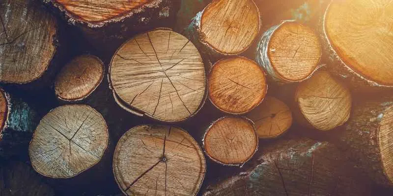 Log rounds showing radial cracking from drying too fast through the end grain