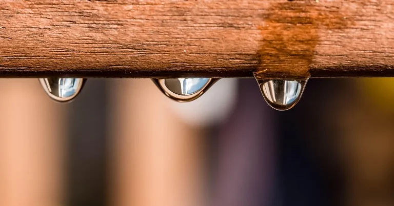 Water droplets beading on a wood board surface, showing how moisture interacts with the wood grain