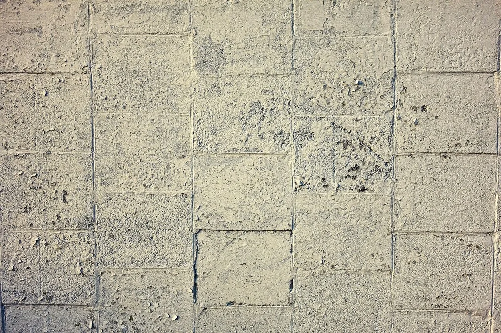 Painted concrete block wall, the kind of masonry surface Drylok is made for