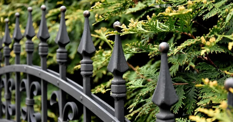glossy black painted wrought iron gate showing an intact protective coating with no rust