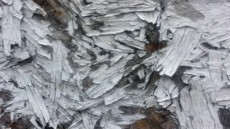 Old plywood panel with peeling white paint, a sign it needs separate disposal