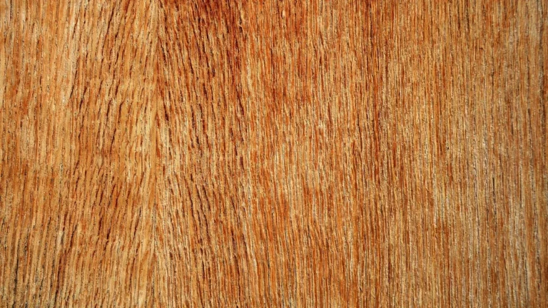 Close-up of the face veneer grain on a plywood panel