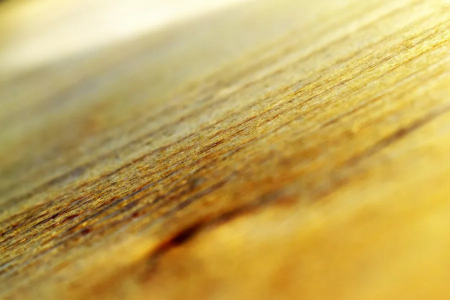 Macro photo of wood veneer grain running in one direction Macro photo of wood veneer grain running in one direction