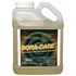Boracare Insecticide Termiticide Fungicide, 1 Gallon Borate
