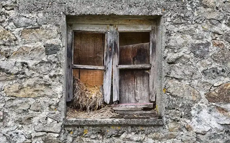 rotted exterior window shutter with soft, decayed wood typical of wood hardener repairs rotted exterior window shutter with soft, decayed wood typical of wood hardener repairs