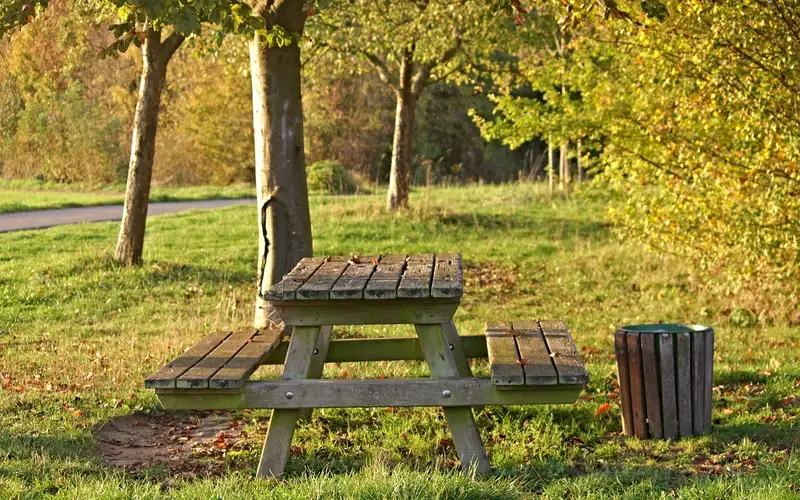 A wooden park bench with slatted seating, the kind of weathered wood slats that eventually need replacing