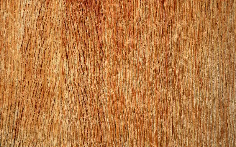 plywood texture showing cross-ply layer construction