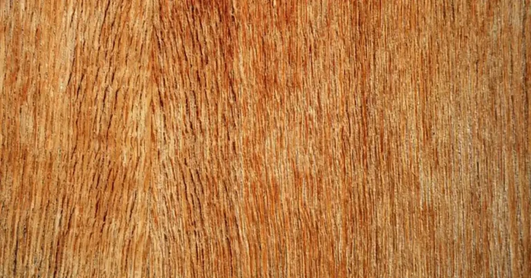 Close-up of sanded plywood veneer grain before staining