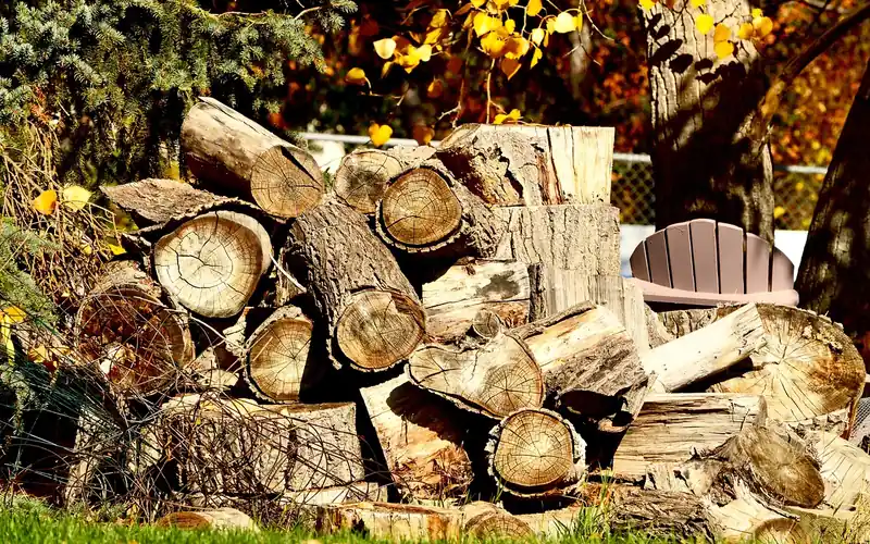 Split hardwood firewood logs stacked outdoors to season before burning Split hardwood firewood logs stacked outdoors to season before burning