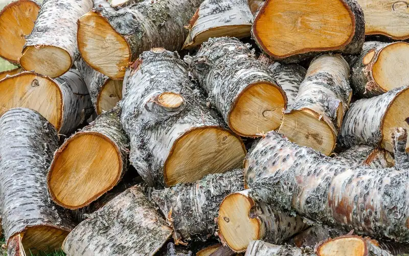 Split firewood logs stacked and ready to be tied into bundles
