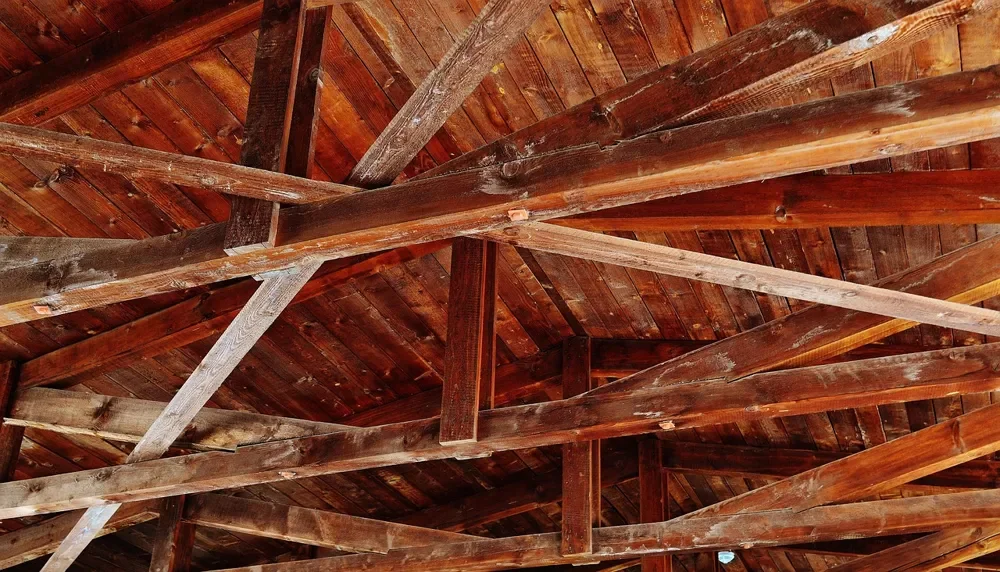 Straight exposed roof timbers and rafters in an open wood ceiling