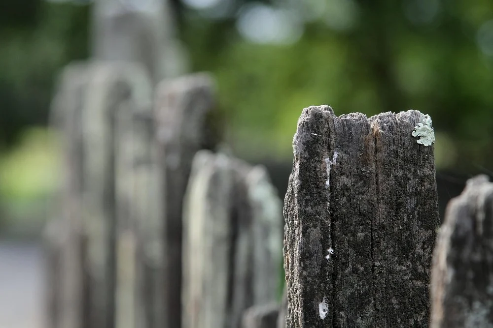 Weathered gray wooden fence posts with lichen and cracks