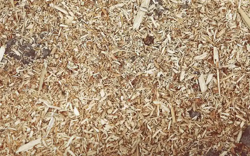 Close-up texture of shredded wood chips and fine sawdust mulch