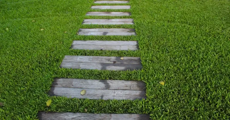 wood decking planks laid as a stepping path across a green lawn
