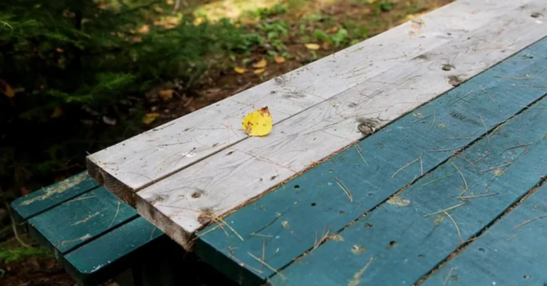 Wood picnic table with one board sanded bare next to weathered painted boards before sealing