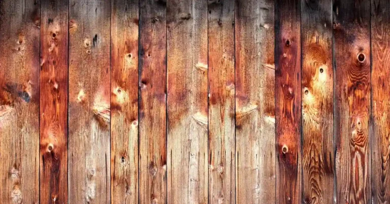 Knotty pine plank showing uneven stain-dark and stain-light zones around the knots