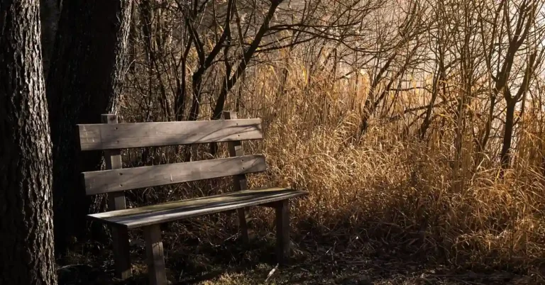 weathered wooden slat bench outdoors showing thick seat and back boards