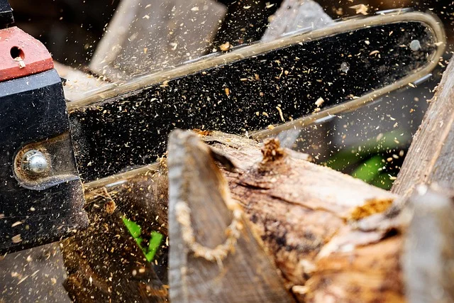 Close-up of a chainsaw guide bar and chain cutting through a log, throwing sawdust