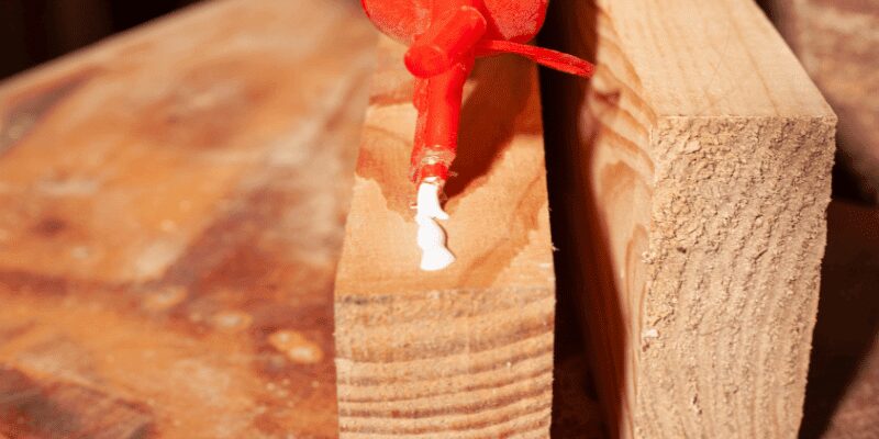 PVA wood glue being applied to the edge of a pine board before clamping