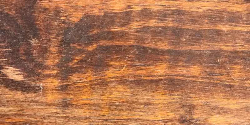 Close-up of a wood table joint weakened by trapped moisture damage