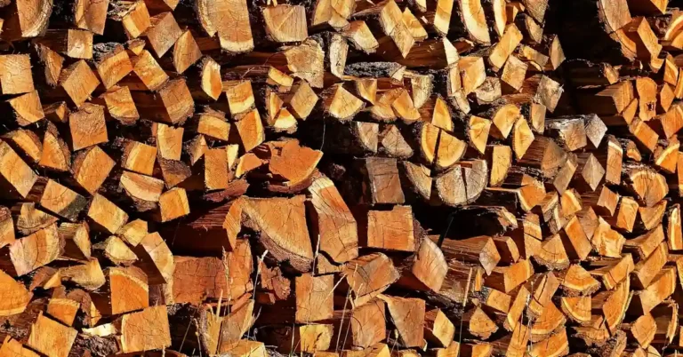 Stack of split ash firewood drying outdoors, cut ends showing seasoning cracks