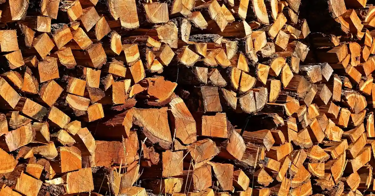 Stack of split ash firewood drying outdoors, cut ends showing seasoning cracks