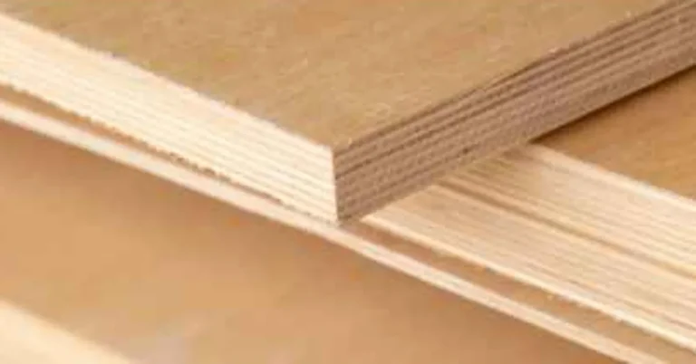 Baltic birch plywood edge layers showing the multi-ply construction that drives its cost