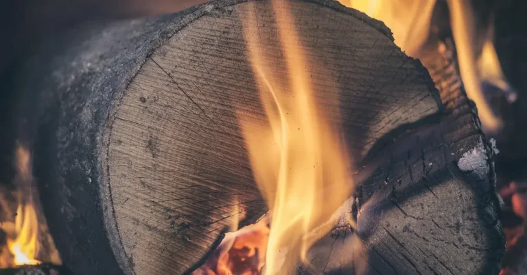 Seasoned black walnut firewood burning in a fireplace