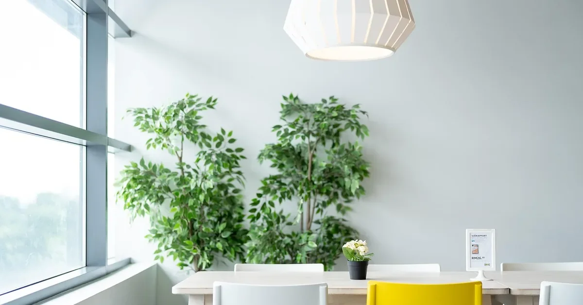 blonde wood dining table and chairs in a bright room