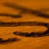Bona Traffic HD water-based hardwood floor finish