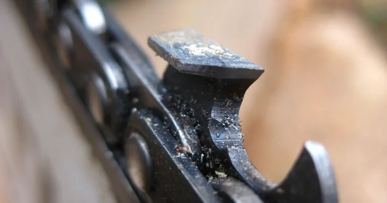 Close-up of a chainsaw chain cutter and drive links on a guide bar