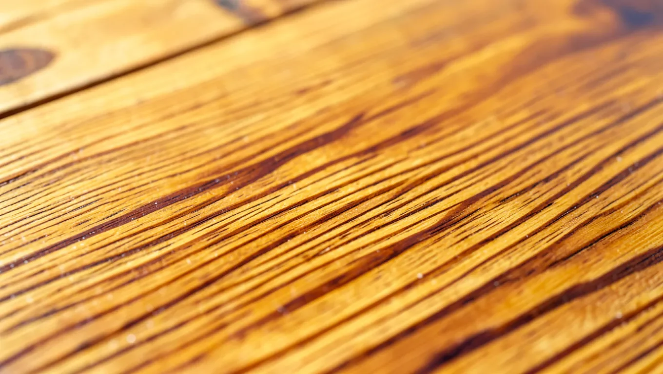 close-up of stained Douglas fir wood showing alternating grain color bands