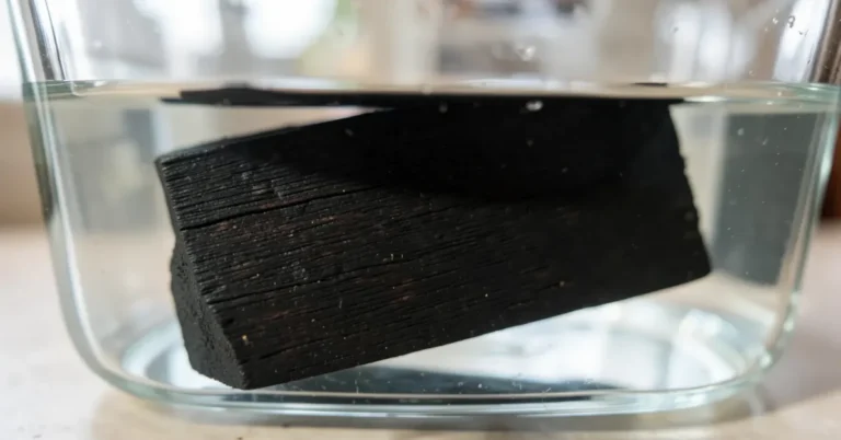 Block of dense black ebony wood sunk underwater in a glass container