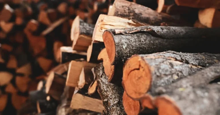 Split firewood logs stacked in a ventilated woodshed to air-dry