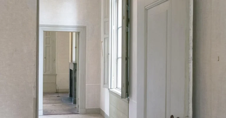 white paneled interior door in a classic hallway with molded trim