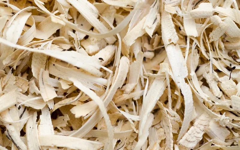 Loose wood fiber shavings, the raw material compressed with resin to make MDF