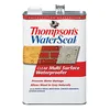 Thompson's WaterSeal Multi-Surface Waterproofer Stain, Clear, 1 Gallon