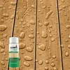 Olympic WaterGuard 11 oz Clear Waterproofing Wood Sealer