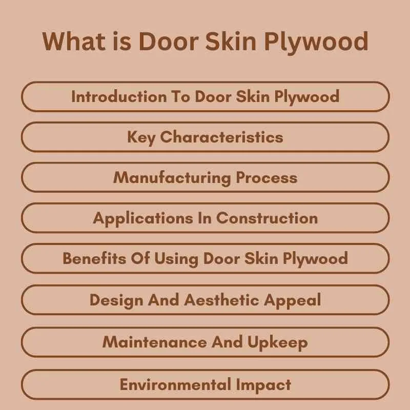 What is Door Skin Plywood