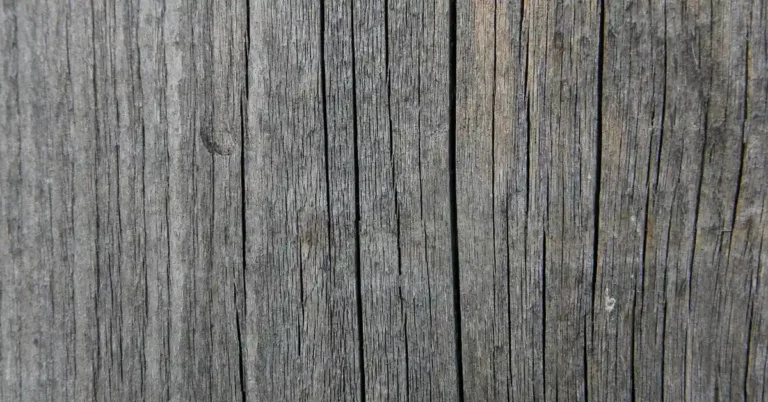 Close-up of naturally weathered redwood grain turned silver-grey