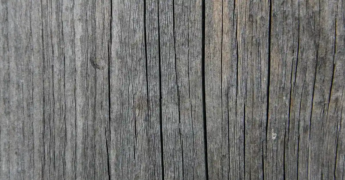 Close-up of naturally weathered redwood grain turned silver-grey