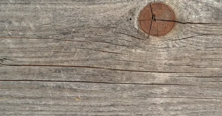 Split running along the grain of a weathered gray board beside a knot