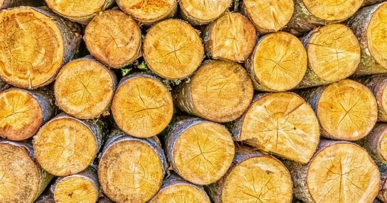 Stack of round wood logs showing cross-section grain before joining